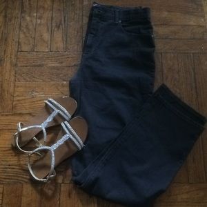 Gloria Vanderbilt Jeans sz 12 NWOT